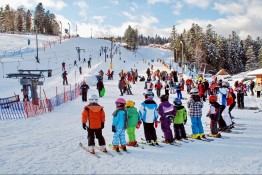 Henryk Ski