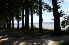 Park im. Feliksa Nowowiejskiego