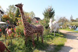 Wełniane zoo w Cieszynie