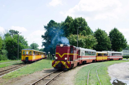 Stegna Atrakcja Kolejka turystyczna Żuławska Kolej Dojazdowa 